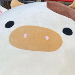 Meet your Posher, Morgan